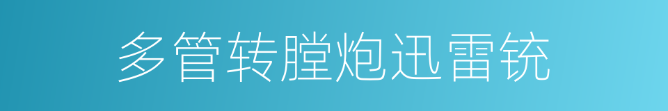 多管转膛炮迅雷铳的同义词