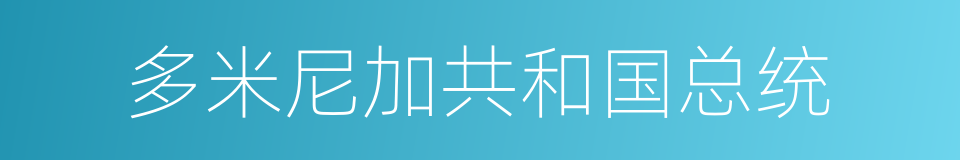 多米尼加共和国总统的同义词