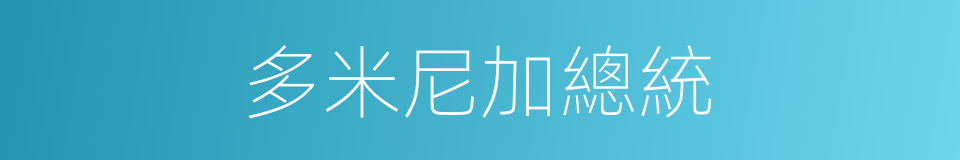 多米尼加總統的同義詞