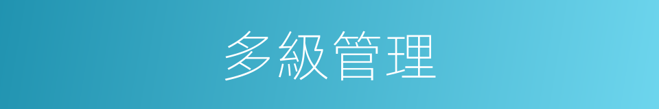 多級管理的同義詞