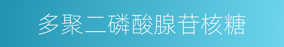 多聚二磷酸腺苷核糖的同义词