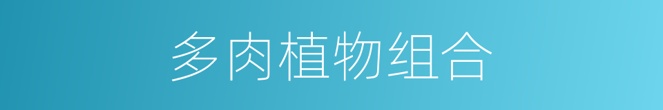 多肉植物组合的同义词