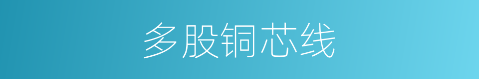 多股铜芯线的同义词