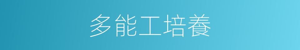 多能工培養的同義詞