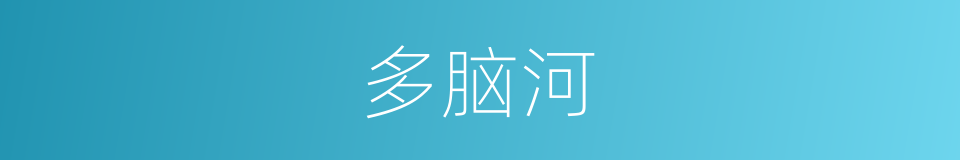 多脑河的同义词