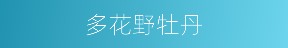 多花野牡丹的同义词