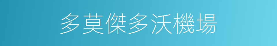 多莫傑多沃機場的同義詞