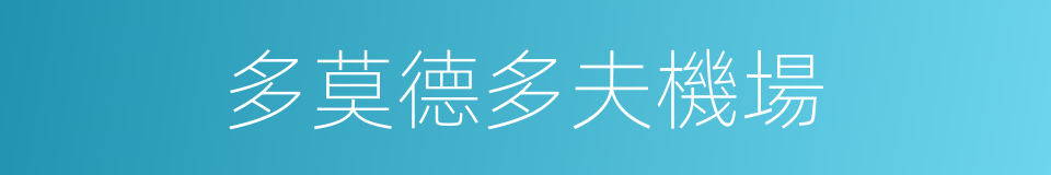 多莫德多夫機場的同義詞