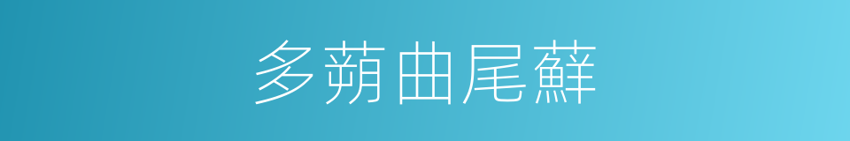 多蒴曲尾蘚的同義詞
