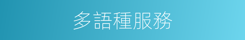 多語種服務的同義詞
