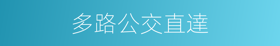 多路公交直達的同義詞