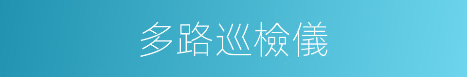 多路巡檢儀的同義詞