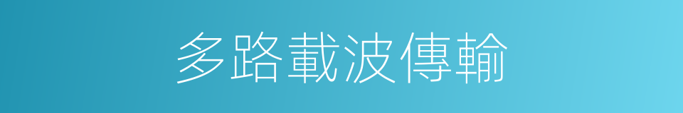 多路載波傳輸的同義詞