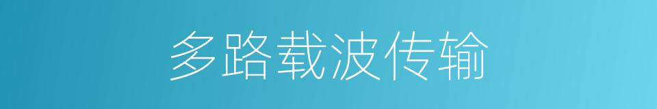 多路载波传输的同义词