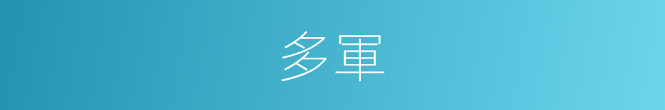 多軍的意思