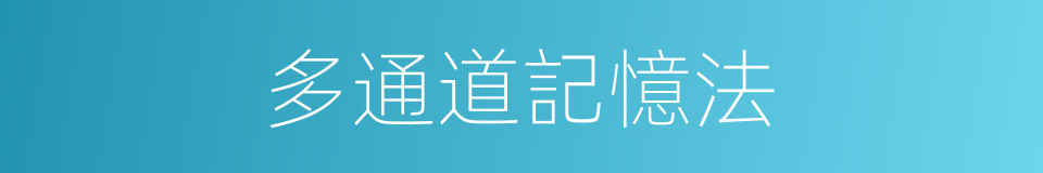 多通道記憶法的同義詞