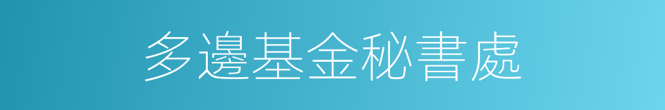 多邊基金秘書處的同義詞