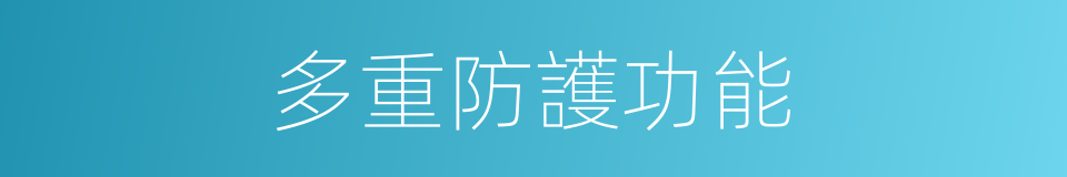 多重防護功能的同義詞