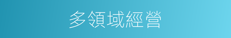 多領域經營的同義詞