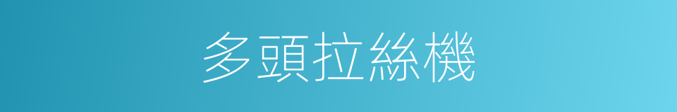 多頭拉絲機的同義詞