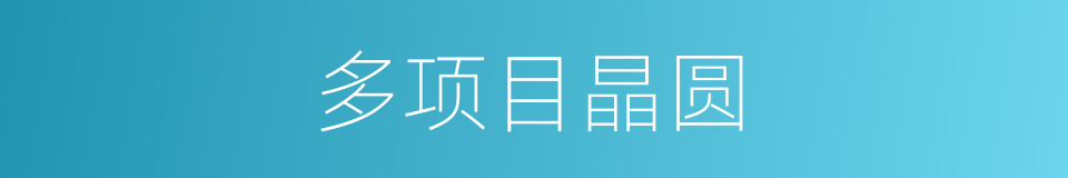 多项目晶圆的同义词