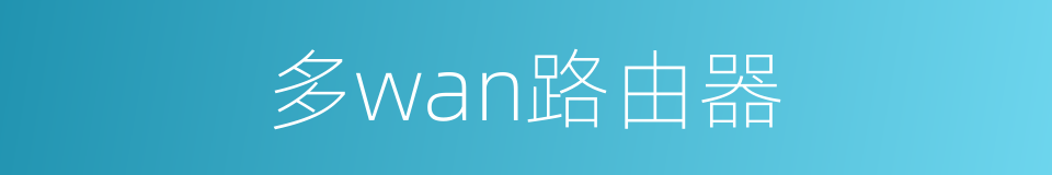 多wan路由器的同义词