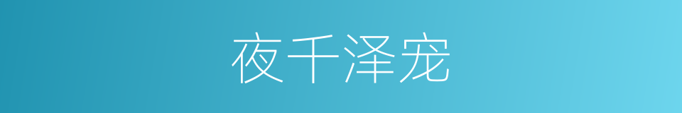 夜千泽宠的同义词