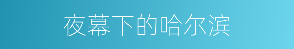 夜幕下的哈尔滨的同义词
