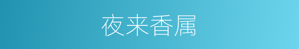 夜来香属的同义词