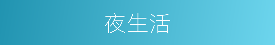 夜生活的意思