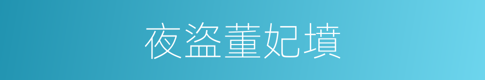 夜盜董妃墳的同義詞
