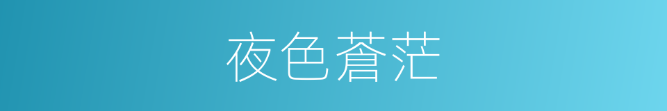 夜色蒼茫的意思