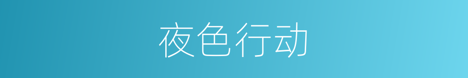 夜色行动的同义词
