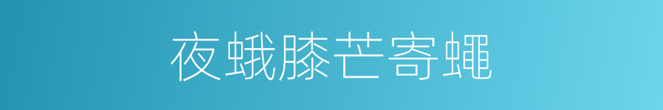 夜蛾膝芒寄蠅的同義詞