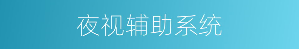 夜视辅助系统的同义词