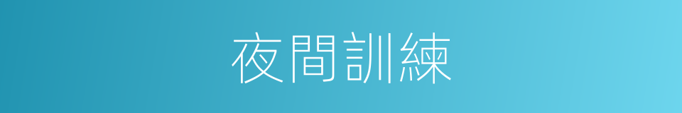 夜間訓練的同義詞