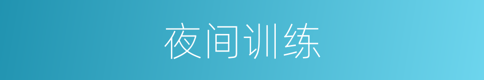 夜间训练的同义词