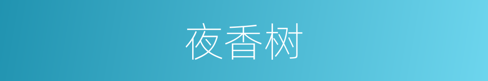 夜香树的同义词