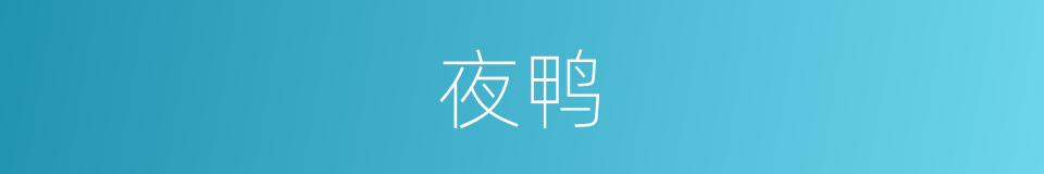 夜鸭的同义词