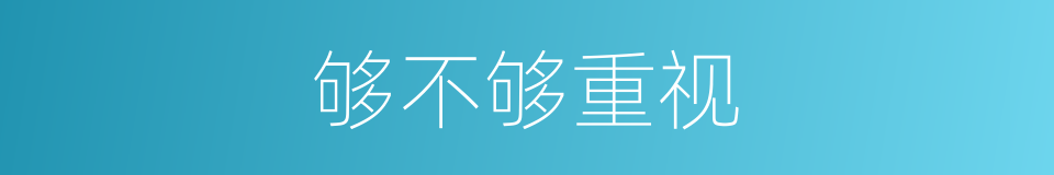 够不够重视的同义词