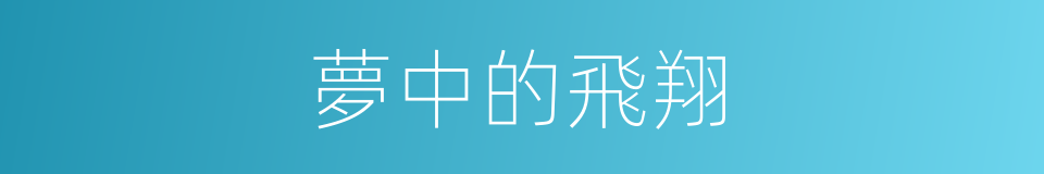 夢中的飛翔的同義詞