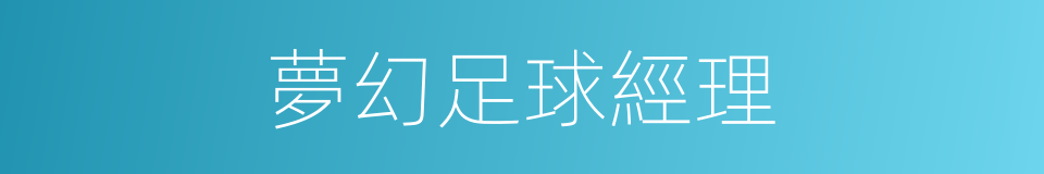 夢幻足球經理的同義詞