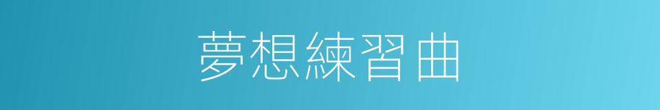夢想練習曲的同義詞
