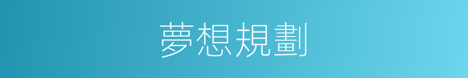 夢想規劃的同義詞