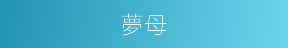 夢母的同義詞