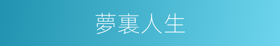 夢裏人生的同義詞