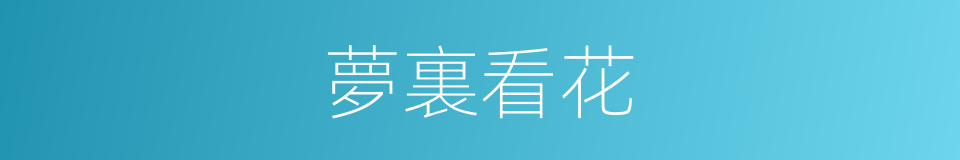 夢裏看花的意思