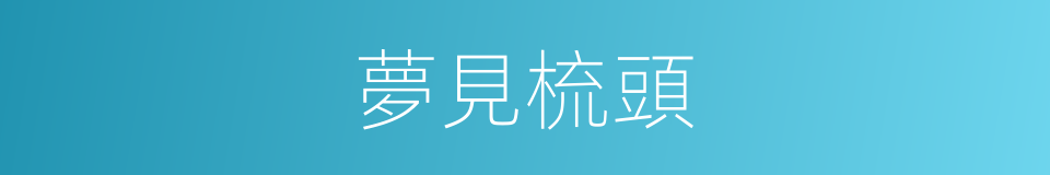 夢見梳頭的同義詞