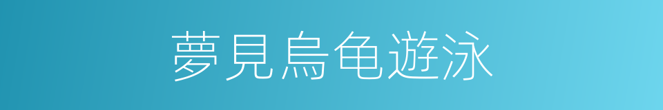 夢見烏龟遊泳的同義詞