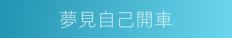 夢見自己開車的同義詞